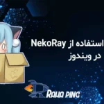 آموزش استفاده از nekoray ویندوز