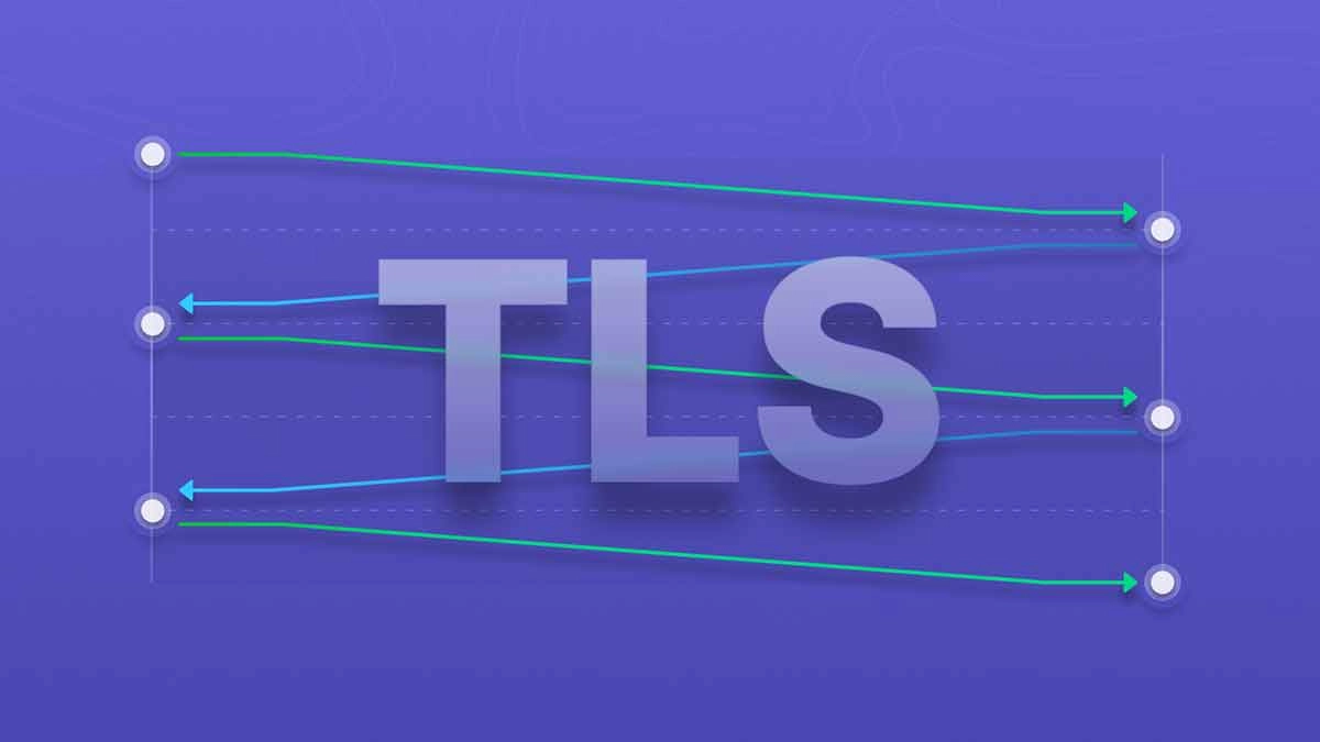 تنظیمات TLS و خطر کانفیگ رایگان